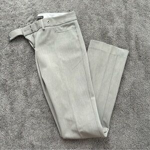 Express Columnist Light Grey Pants